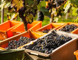 Bleiben Sie in Kontakt mit Ihren Besuchern