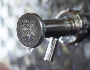 Inhalte von Blog-Artikeln